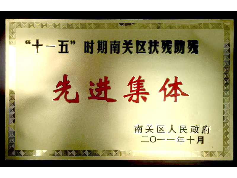 十一五扶残助残先进集体