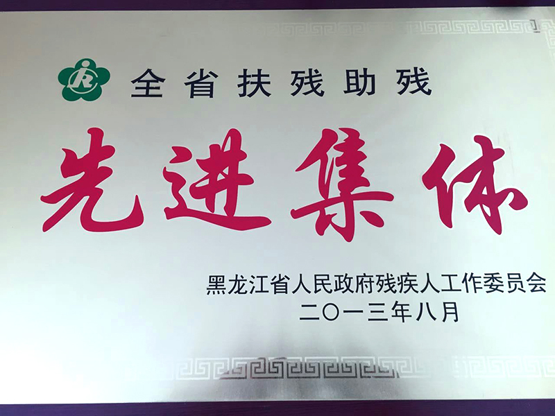 2013年全省扶残助残先进集体